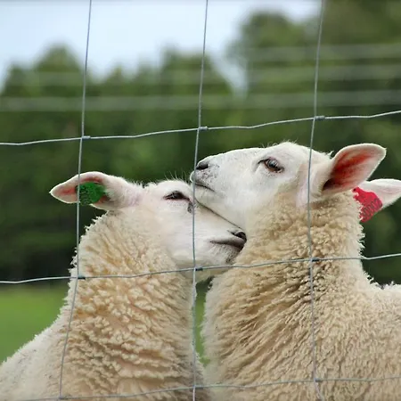 Solheim Fritidsgard * Svensby