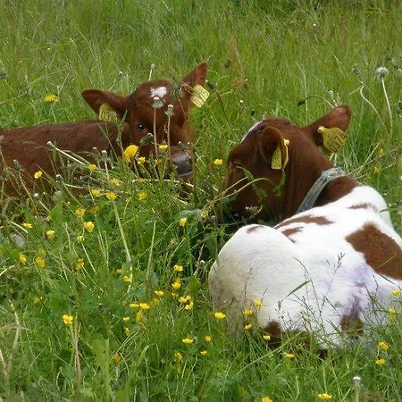 Solheim Fritidsgard *