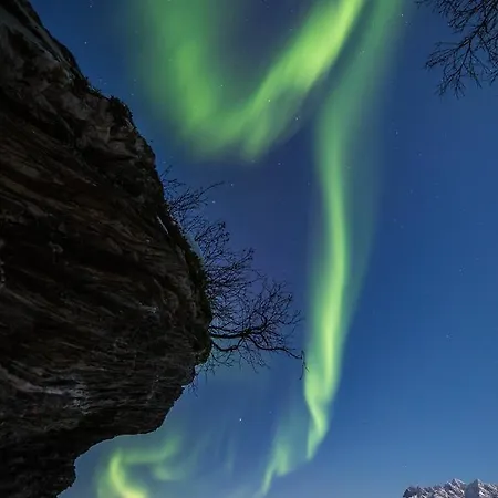 בית חווה Solheim Fritidsgard