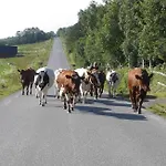 Solheim Fritidsgard